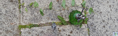 Offene Demenzberatung